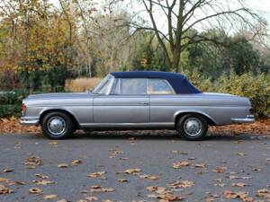 Image 18/50 of Mercedes-Benz 220 SE Cabriolet (1966)