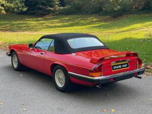 Immagine 21/50 di Jaguar XJ-S Convertible (1988)