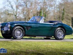 Immagine 8/44 di Austin-Healey 3000 Mk III (BJ8) (1965)