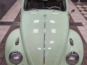 Image 3/19 de Volkswagen Coccinelle 1200 A (1964)