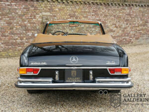 Image 19/50 of Mercedes-Benz 280 SE 3,5 (1971)