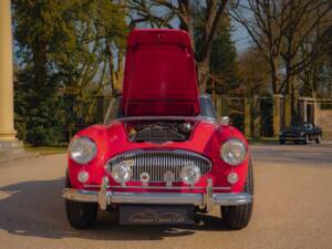 Image 14/52 of Austin-Healey 3000 Mk III (BJ8) (1965)