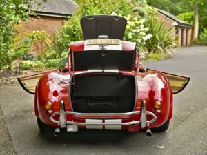 Image 17/50 de AC Cobra 289 (2000)