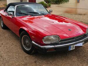Bild 6/8 von Jaguar XJ-S Convertible (1989)