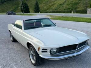 Bild 4/11 von Ford Mustang 351 (1970)