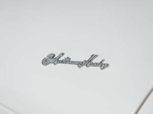 Image 34/50 of Austin-Healey 100 S (1955)