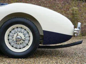 Image 31/50 of Austin-Healey 100&#x2F;4 (BN1) (1955)