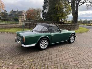 Immagine 32/45 di Triumph TR 4 (1964)