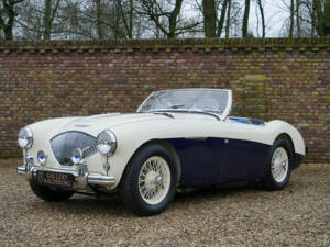 Image 37/50 of Austin-Healey 100&#x2F;4 (BN1) (1955)