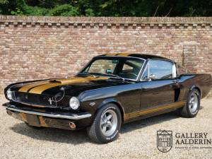 Image 14/50 of Ford Shelby GT 350 (1965)