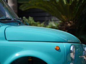 Image 43/51 de FIAT Ghia 500 Jolly (1971)