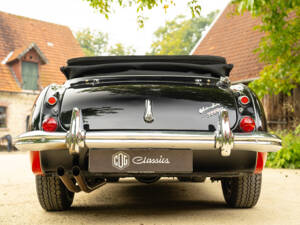 Afbeelding 13/62 van Austin-Healey 3000 Mk III (BJ8) (1965)