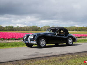 Image 11/47 de Jaguar XK 140 DHC (1956)