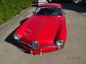 Immagine 7/46 di Alfa Romeo 1900 C Super Sprint Touring (1956)