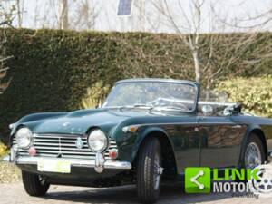 Immagine 1/10 di Triumph TR 4 (1965)