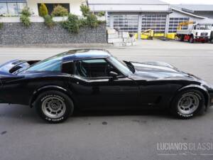 Bild 10/58 von Chevrolet Corvette Sting Ray (1979)