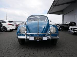 Immagine 2/17 di Volkswagen Coccinelle 1200 Export &quot;Dickholmer&quot; (1964)