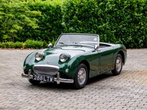 Bild 1/40 von Austin-Healey Sprite Mk I (1958)