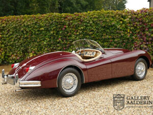 Imagen 48/50 de Jaguar XK 140 SE-C OTS (1956)