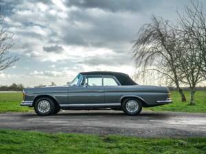 Image 3/50 de Mercedes-Benz 280 SE 3,5 (1971)