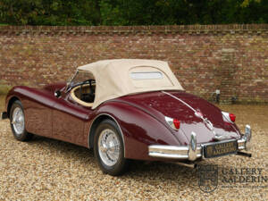 Bild 22/50 von Jaguar XK 140 SE-C OTS (1956)