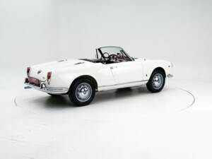 Immagine 2/15 di Alfa Romeo Giulia 1600 Spider Veloce (1965)