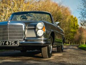 Image 30/50 de Mercedes-Benz 280 SE 3,5 (1971)