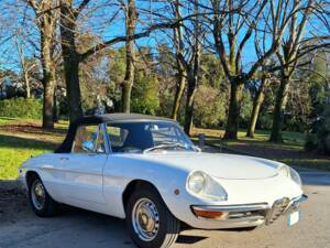 Bild 6/37 von Alfa Romeo 1750 Spider (1969)