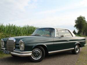 Immagine 7/7 di Mercedes-Benz 220 SE b (1965)