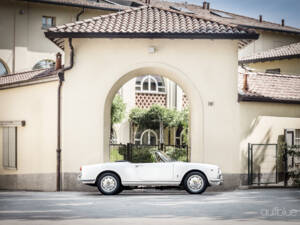 Image 11/71 de Alfa Romeo Giulietta Spider (1960)