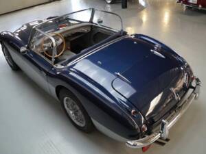 Imagen 48/50 de Austin-Healey 3000 Mk II (BN7) (1961)