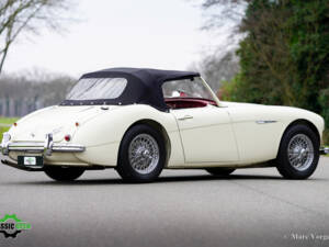 Immagine 39/50 di Austin-Healey 3000 Mk II (BT7) (1961)