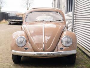 Image 2/7 of Volkswagen Beetle 1200 Standard &quot;Oval&quot; (1957)