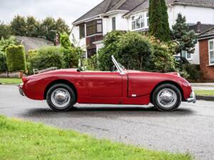 Image 22/23 of Austin-Healey Sprite Mk I (1960)