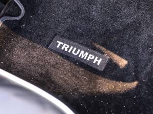 Image 30/50 of Triumph TR 4 (1900)