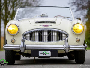 Immagine 2/50 di Austin-Healey 3000 Mk II (BT7) (1961)