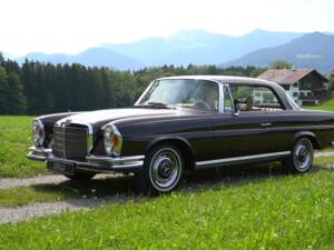 Immagine 5/19 di Mercedes-Benz 280 SE 3,5 (1971)