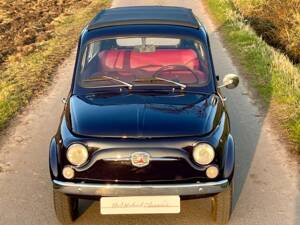 Image 11/26 of FIAT 500 Giardiniera (1971)