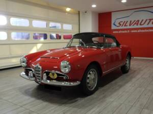 Bild 11/14 von Alfa Romeo Giulia 1600 Spider (1963)