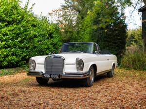 Image 14/46 de Mercedes-Benz 250 SE (1967)