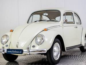 Bild 9/50 von Volkswagen Beetle 1200 (1965)
