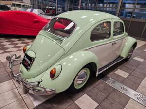 Image 9/19 de Volkswagen Coccinelle 1200 A (1964)