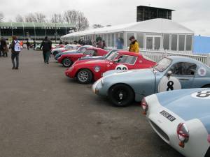 Bild 69/76 von Speedwell GT (1960)