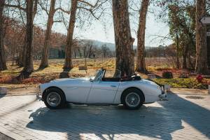 Bild 13/44 von Austin-Healey 3000 Mk III (BJ8) (1966)