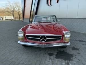 Image 12/36 of Mercedes-Benz 250 SL (1968)