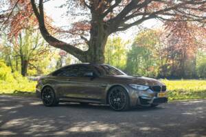 Bild 7/21 von BMW M4 Competition (2019)