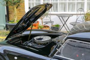 Image 33/50 de AC Cobra 289 (2008)