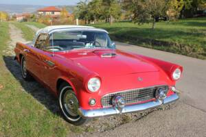 Image 4/8 of Ford Thunderbird (1955)