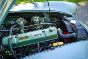 Bild 17/51 von Austin-Healey 100&#x2F;6 (BN4) (1958)