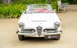 Imagen 11/42 de Alfa Romeo Giulia 1600 Spider (1964)
